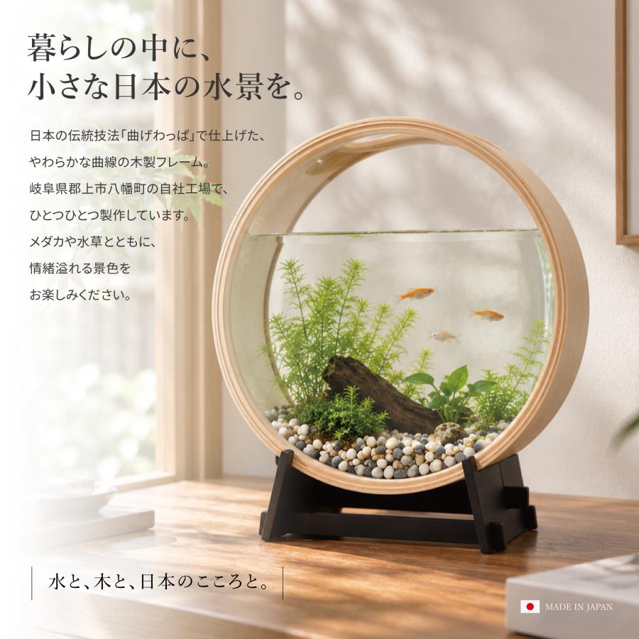曲げわっぱ　アクリル水槽 金魚用 スタンド付き 水槽 KATOMOKU plywood aquarium km-51 アクアリウム おしゃれ 30