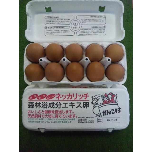 濃厚 送料無料 がんこ村赤玉子 1パック10コ入り 4パック 233 果木堂 通販 Yahoo ショッピング