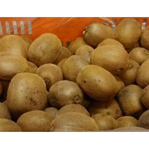 キウイフルーツ 5kg/食べ頃/わけあり/国産 和歌山産 サイズ混 50〜70個（Yahoo!・果木堂）