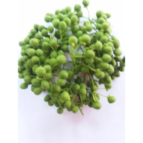 和歌山産 冷凍山椒(さんしょう・サンショウ)(青山椒・山椒の実