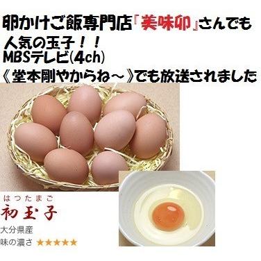 お中元・お歳暮(濃厚)(送料無料)黄身が自慢の初玉子(真っ赤卵)(たまご・卵)(10コ入り×8パック＝80コ)｜kamokudou｜04