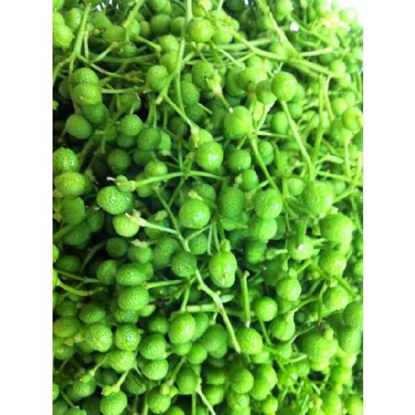 500g 和歌山産　山椒(さんしょう・サンショウ)(実山椒・青山椒・山椒の実)(生タイプ) 約500g（Yahoo!・果木堂）