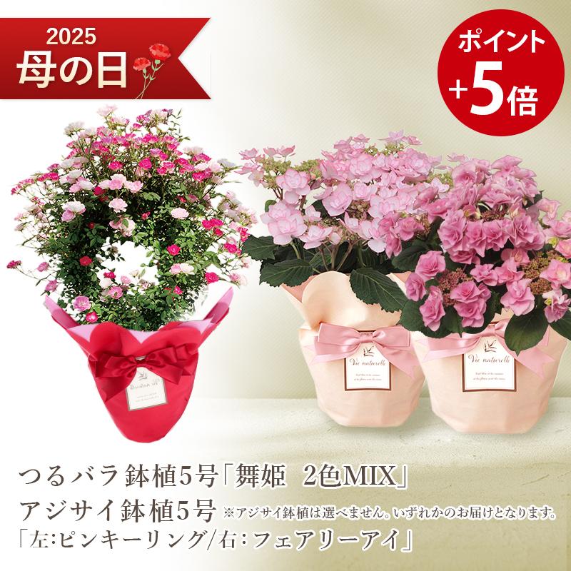 FLOREAL 母の日 ギフト 2025 プレゼント 花 送料無料 鉢植え FLOREAL 母の日 ギフト 2025 プレゼント 花 送料無料 鉢植え