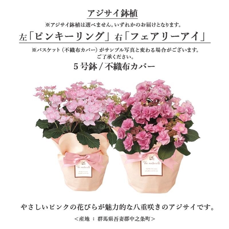 FLOREAL 母の日 ギフト 2025 プレゼント 花 送料無料 鉢植え FLOREAL 母の日 ギフト 2025 プレゼント 花 送料無料 鉢植え