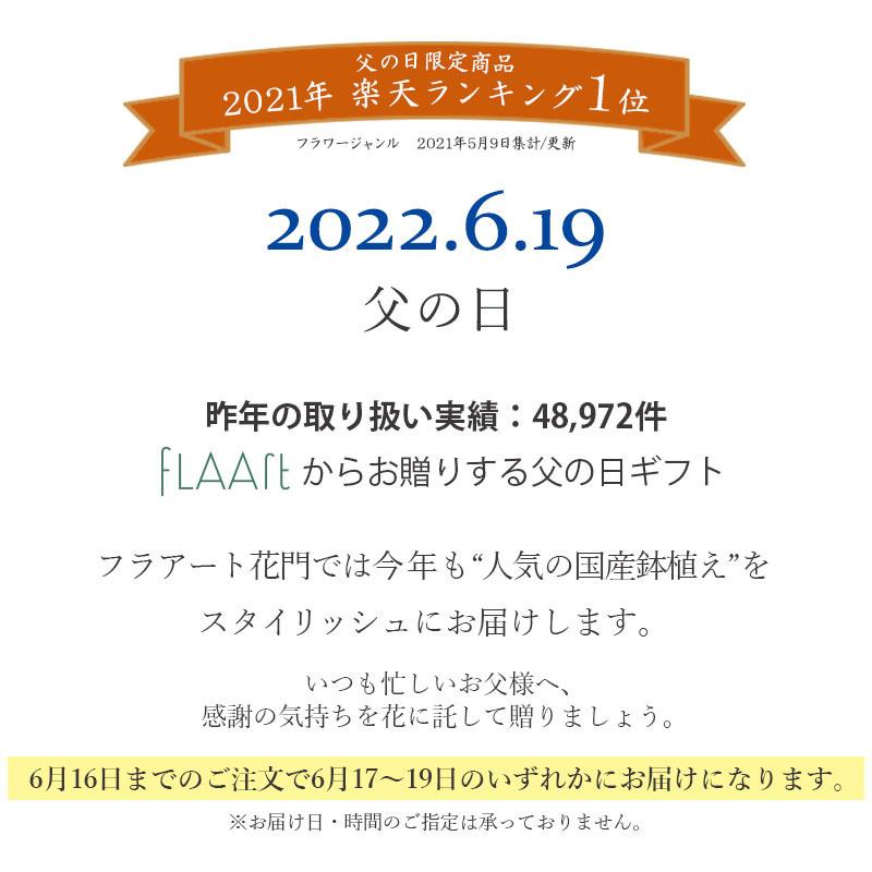 父の日ギフト 送料無料 22 フラアート花門 黄 ミニバラ 鉢植え プレゼント 花 生花 フラワー ギフト ミニ バラ アレンジ 花鉢 父の日 鉢植 Faa101 フロレアルonlineshop東京 通販 Yahoo ショッピング