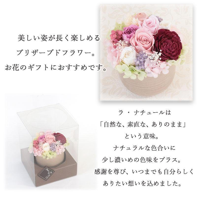 FLOREAL（フロレアル） プリザーブド カーネーション 花 ギフト 誕生日