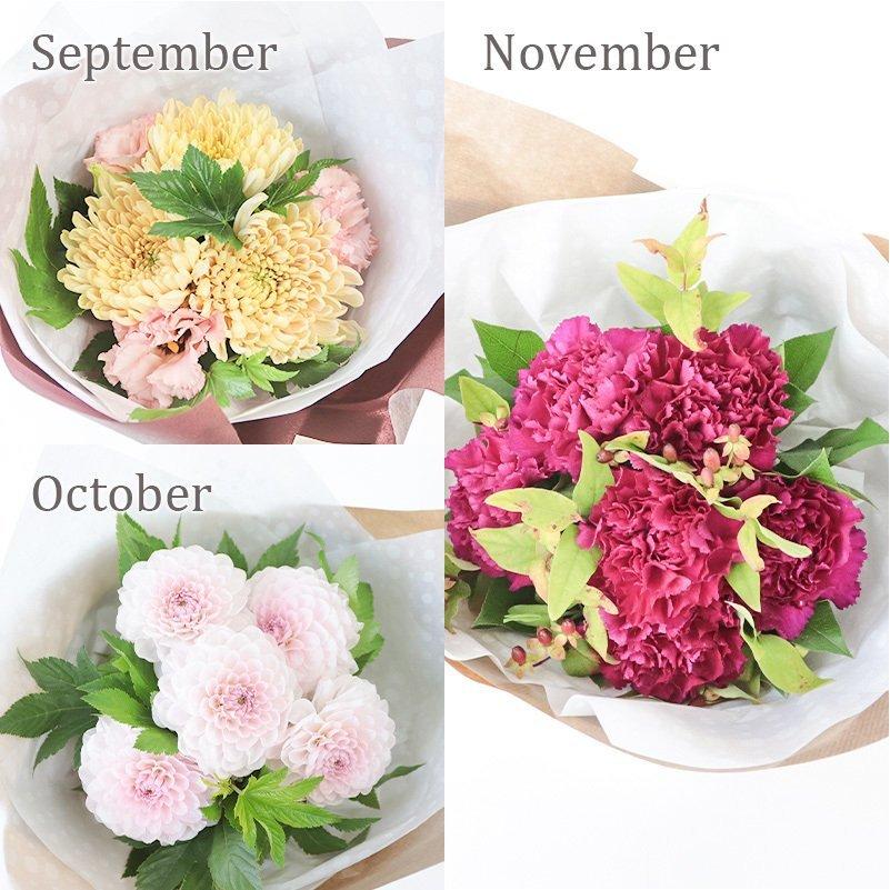 16円 オープニング 花 ギフト ブルースター この時期におすすめ お花 6月 誕生日 ブーケ 花束 プレゼント お祝い 開店祝い 記念日 お見舞い 優良配送 送料無料 生花 フラワー サン フリー埼玉アスカ 防犯ブザー ランドセル型 ラベンダー Ge100v Abiding Co Za