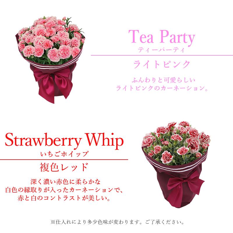 FLOREAL 母の日 ギフト 2025 プレゼント 花 送料無料 赤 ピンク FLOREAL 母の日 ギフト 2025 プレゼント 花 送料無料 赤 ピンク