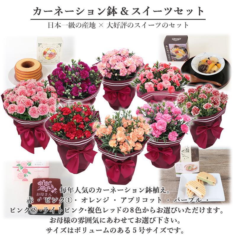 FLOREAL 母の日 ギフト 2025 プレゼント 花 送料無料 赤 ピンク FLOREAL 母の日 ギフト 2025 プレゼント 花 送料無料 赤 ピンク