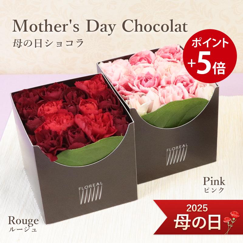 大切な 母の日 22 プレゼント フロレアル 生花 ショコラ フラワーボックス ルージュ ピンク 送料無料 花 フラワー ギフト カーネーション バラ 母の日ギフト Columbiatools Com