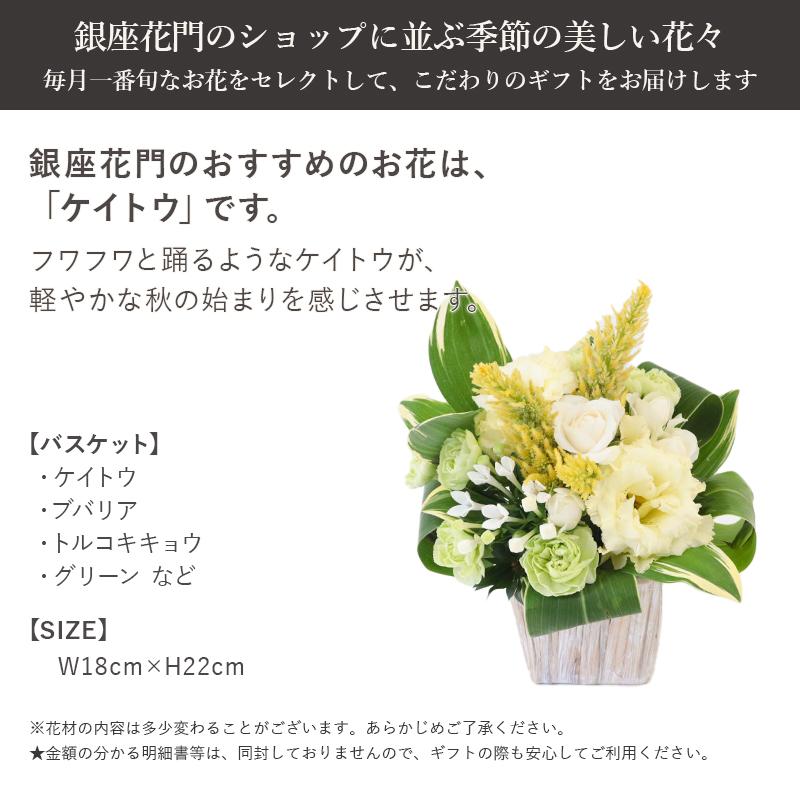 花 ギフト 銀座花門 この時期におすすめ 9月 ケイトウお花 アレンジメント 誕生日 記念日 結婚記念日 優良配送 送料無料 プレゼント フラワーアレンジ Mr Ginza フロレアルonlineshop東京 通販 Yahoo ショッピング