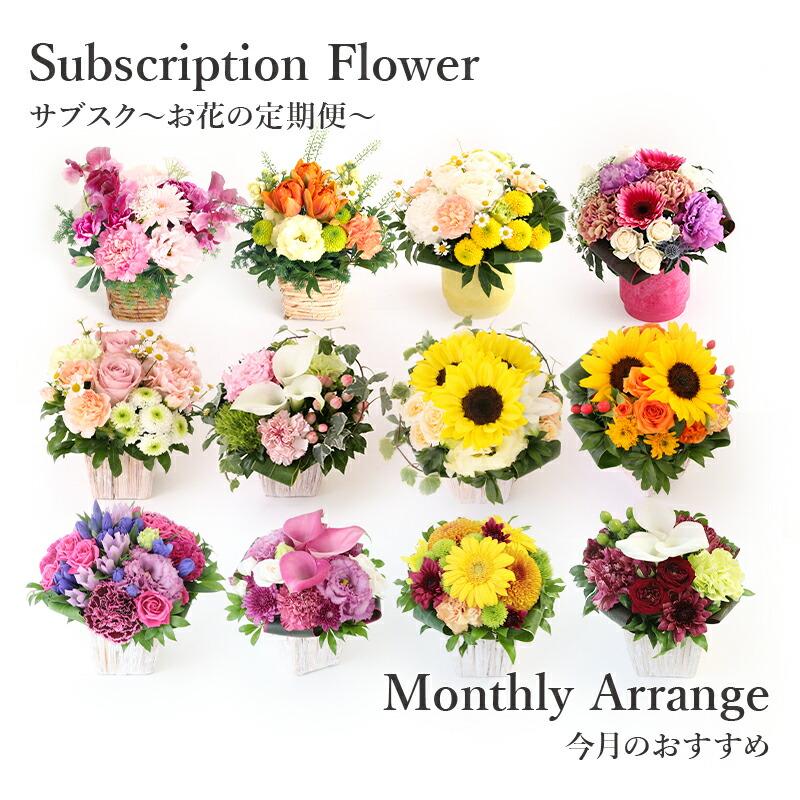 生花 flower 定期 便 仏花の定期便 週1回・隔週プラン 5本セット 公式通販
