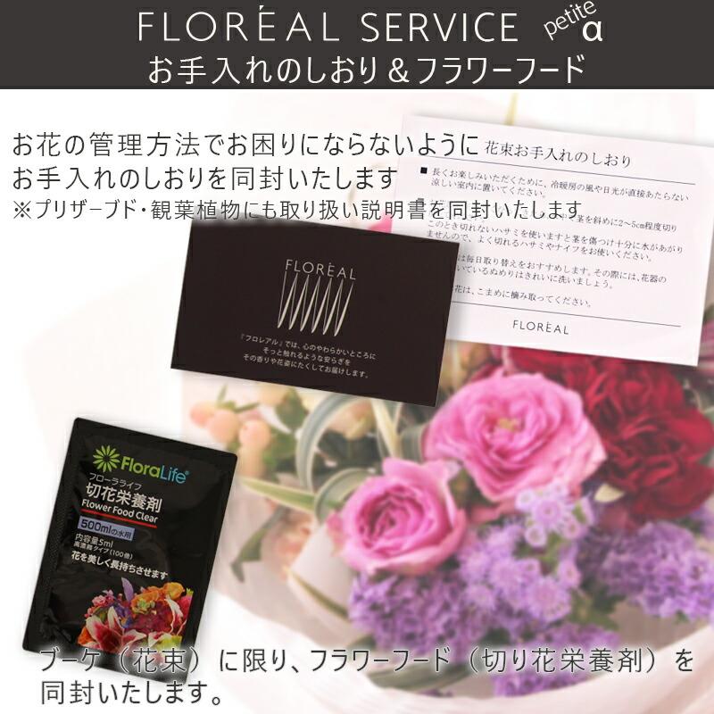 FLOREAL（フロレアル） 【サブスク】 お花の定期便 定期購入 毎月 旬