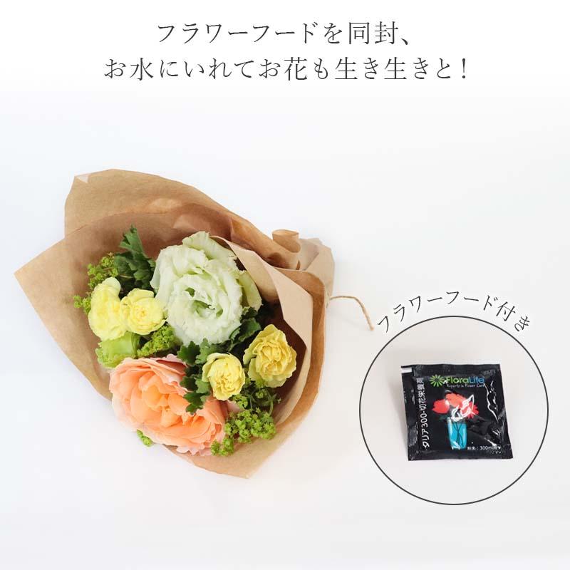 【世界のお花の定期便】月×2回の1年分のブーケ。 楽天市場】毎月届く お花の定期便 生花 供花 『 ペットちゃん 花