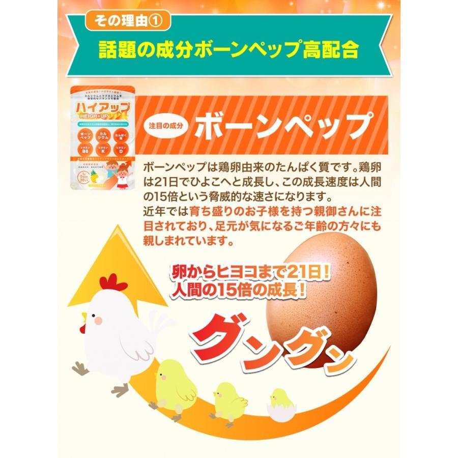毎週更新ハイアップ 6個セット 子供 ビタミン 成長 健康 カルシウム キッズサプリメント パイン味 栄養機能食品 サプリ マグネシウム 子供 ボーンペップ 中学生 ミネラル カブ 種 たね F1CRおおとろ蕪 1袋(3ml) 蕪 野菜たね