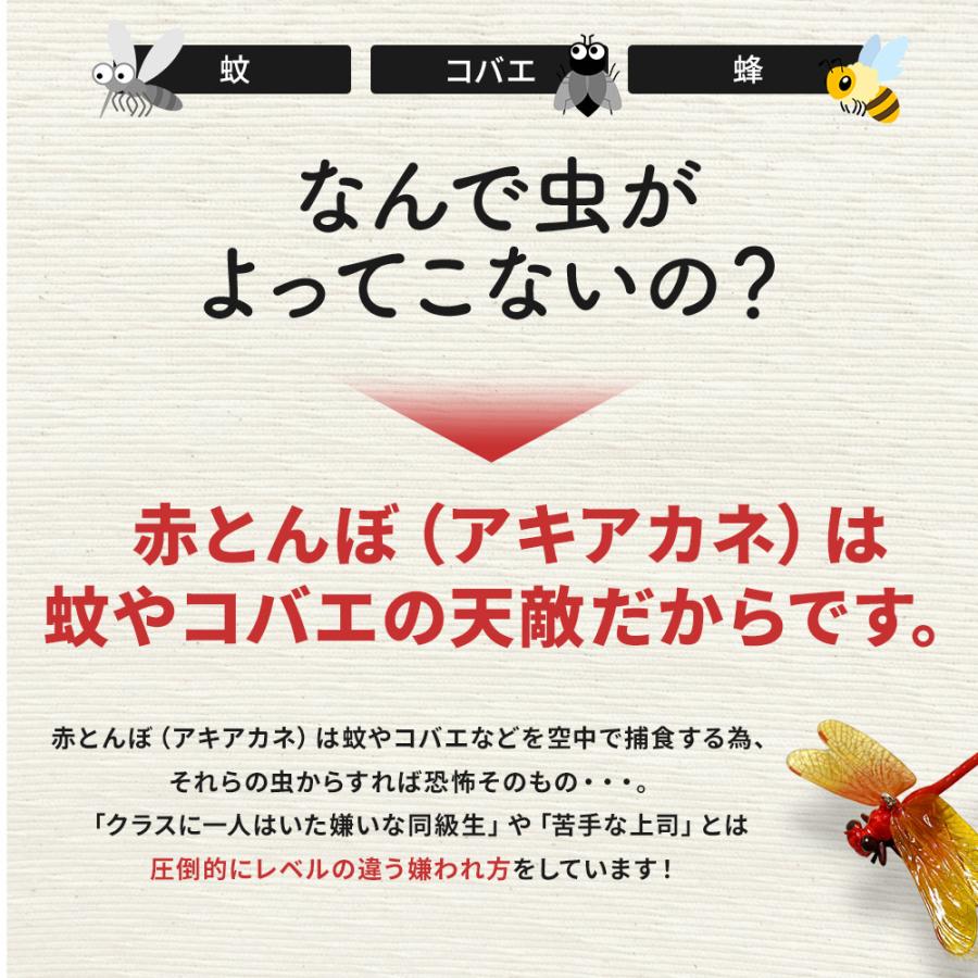 赤とんぼ アキアカネ 単品 虫よけ トンでもないトンボ 害虫駆除 害虫