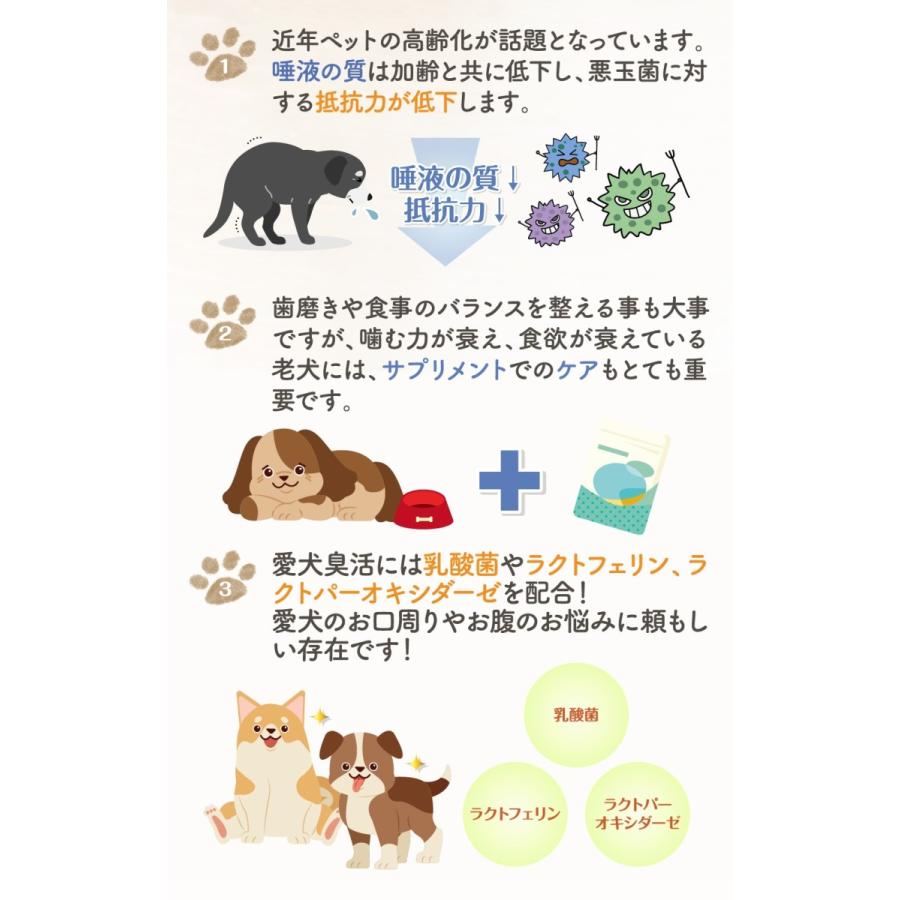 愛犬臭活 デンタルヘルスケア 15ｇ 3個セット 犬 ペット ラクトフェリン サプリ 口 うんち 対策 サポート サプリメント おやつ 歯磨き 乳酸菌 粉末 スプーン付 B07w3xksyn 3 生活雑貨本舗 通販 Yahoo ショッピング