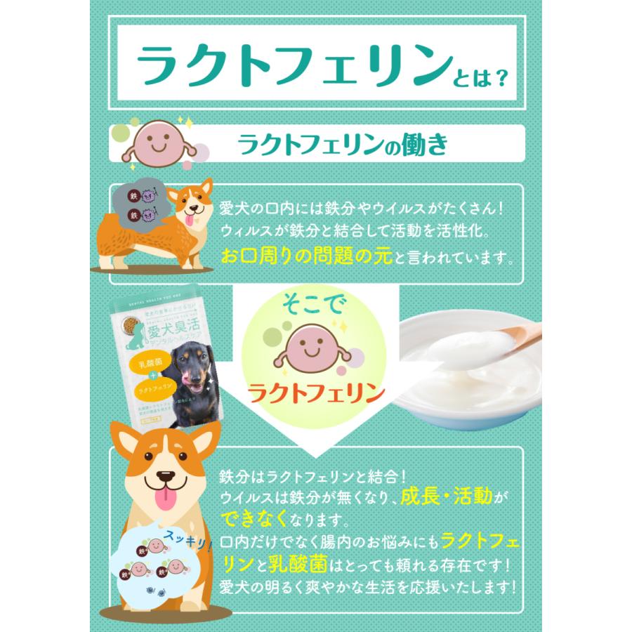 愛犬臭活 デンタルヘルスケア 15ｇ 3個セット 犬 ペット ラクトフェリン サプリ 口 うんち 対策 サポート サプリメント おやつ 歯磨き 乳酸菌 粉末 スプーン付 B07w3xksyn 3 生活雑貨本舗 通販 Yahoo ショッピング