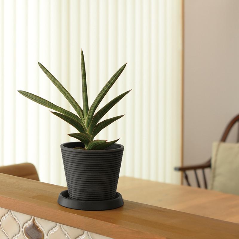 大特価 ボタニー ミディポット 17型 ガーデニング 観葉植物 球根 苗 苗木 植木 水生植物 花瓶 プランター 肥料 鉢 受皿 園芸用品 園芸710円 Aynaelda Com