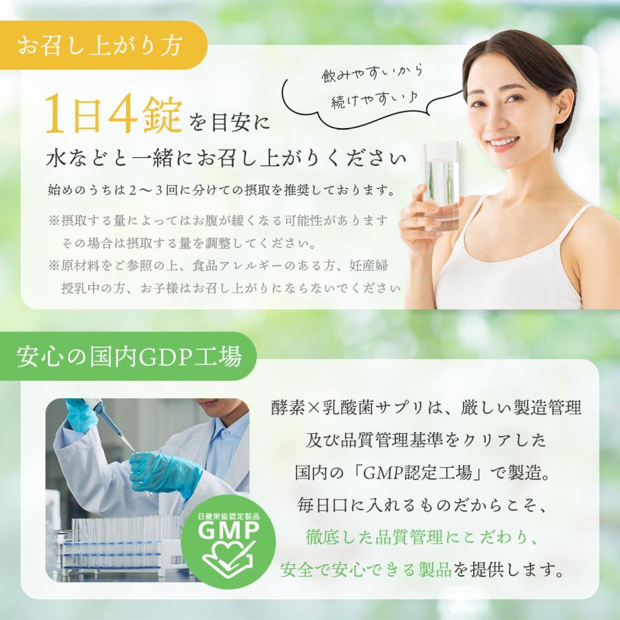 DDSサプリメント 酵素パワーペースト 腸内環境 体スッキリ 楽天市場】DDS SUPPLEMENT 酵素パワーペースト DDSサプリメント
