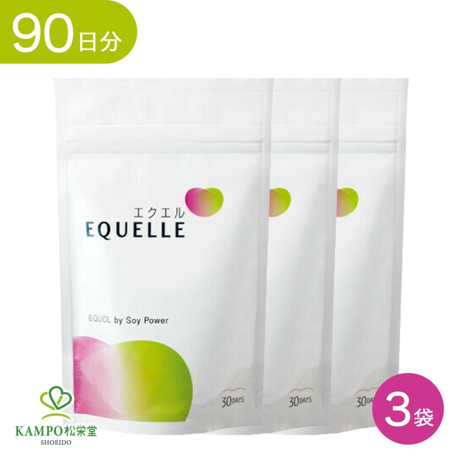 エクエル エクオール 大塚製薬 パウチ 120粒 3袋セット equelle 大豆