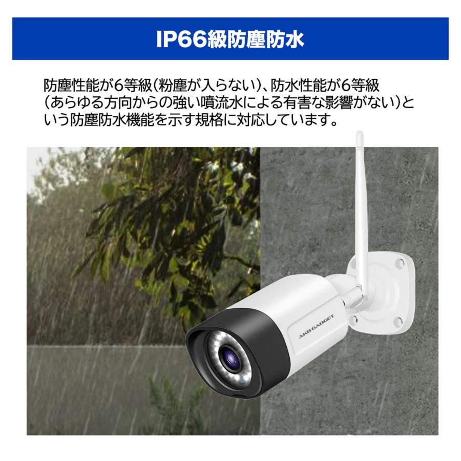 アナログ屋外用ハイエンド防犯カメラ(赤外投光器付) ACE SECURITY SYSTEM 赤外線 LED 投光器 防犯カメラ 補助光 照射