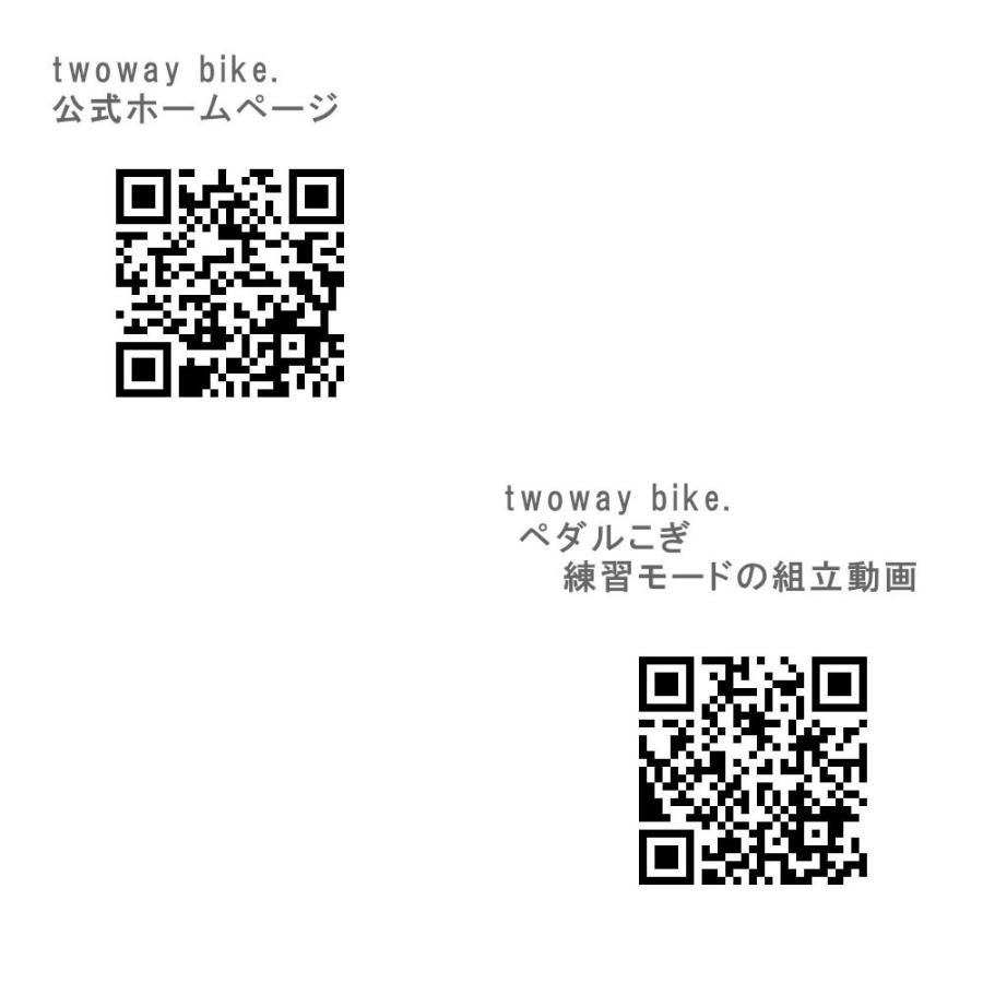 自転車 14インチ サカイサイクル  子供用自転車  Twoway Bike RUNN G ツーウェイバイク TW14 くすみグリーン爆買
