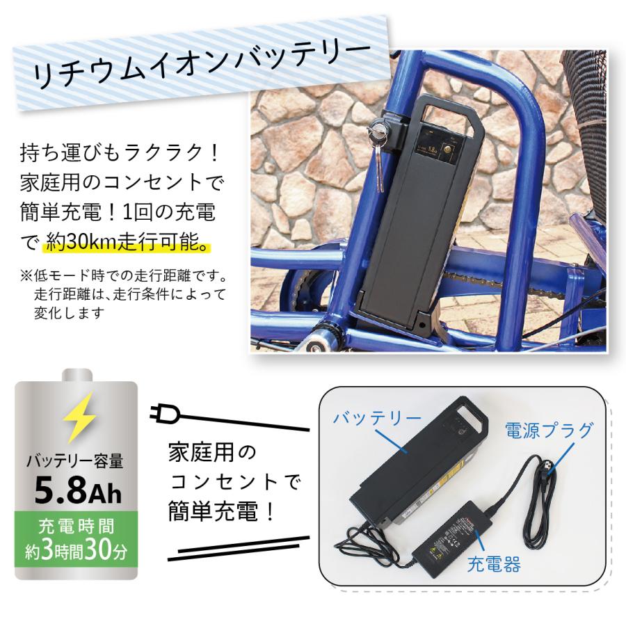 爆買 クーポン電動アシスト三輪自転車 ミムゴ e-parton (イーパートン