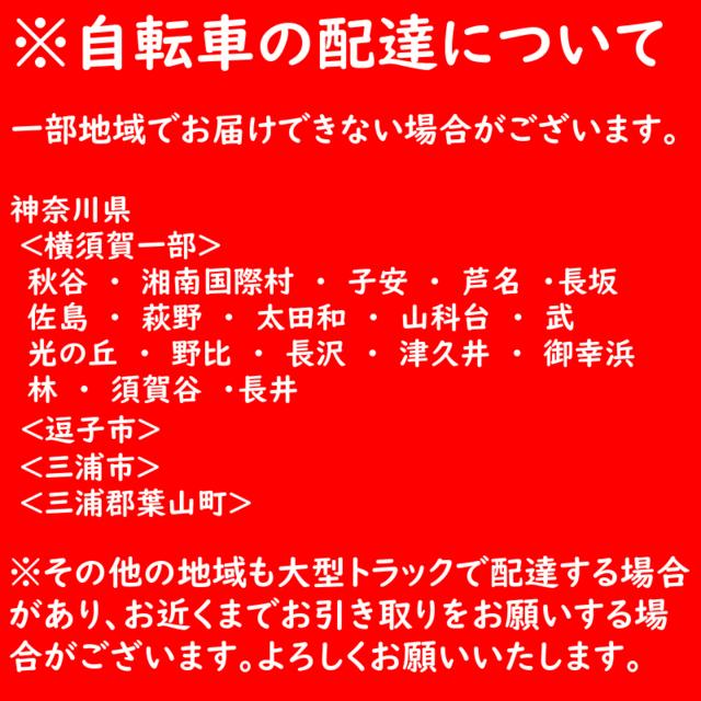 電動アシスト自転車 パナソニック ギュット・クルーム・EX BE-FFE033 ラクイック搭載 20インチ 押し歩き前子ども乗せ自転車（大）ぱ | Panasonic | 15