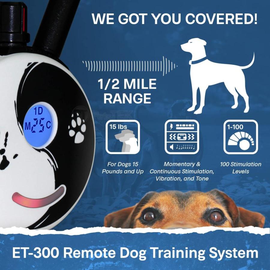 【ほぼ新品】 Educator Mini ET-300 Zen - 1/2 Mile Ecollar Dog Training Collar with Remote