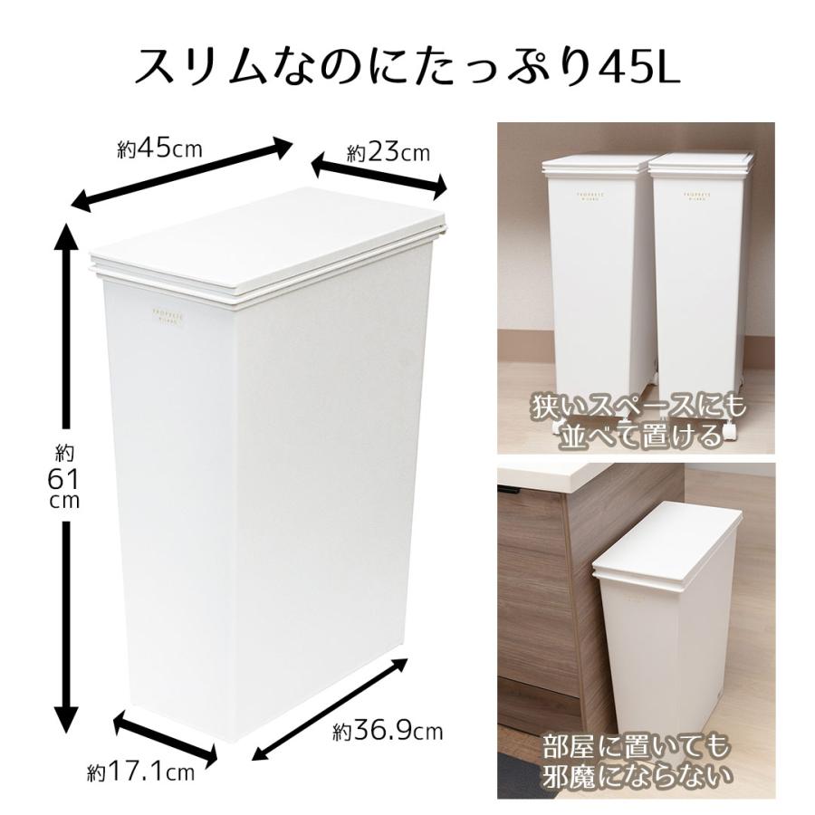 ゴミ箱 分別 45 スマートペール 45L ふた付き セット PROPRETE ×e-LABO