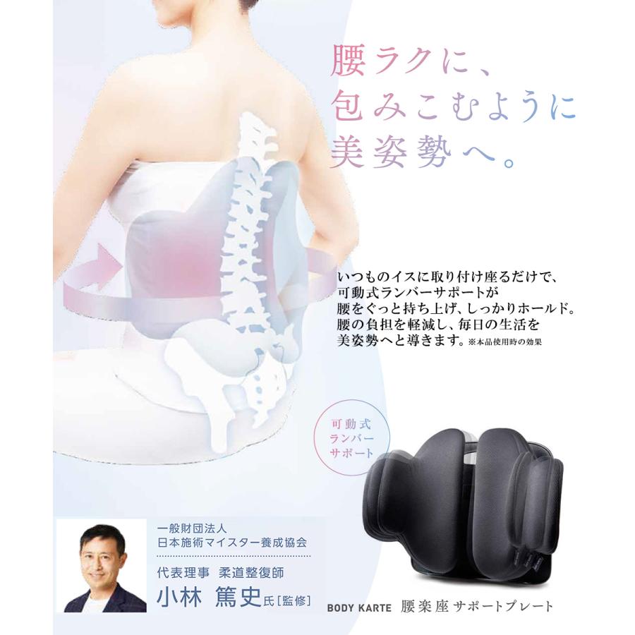 ボディカル 腰楽座 サポートプレート コジット | 美姿勢 クッション 腰