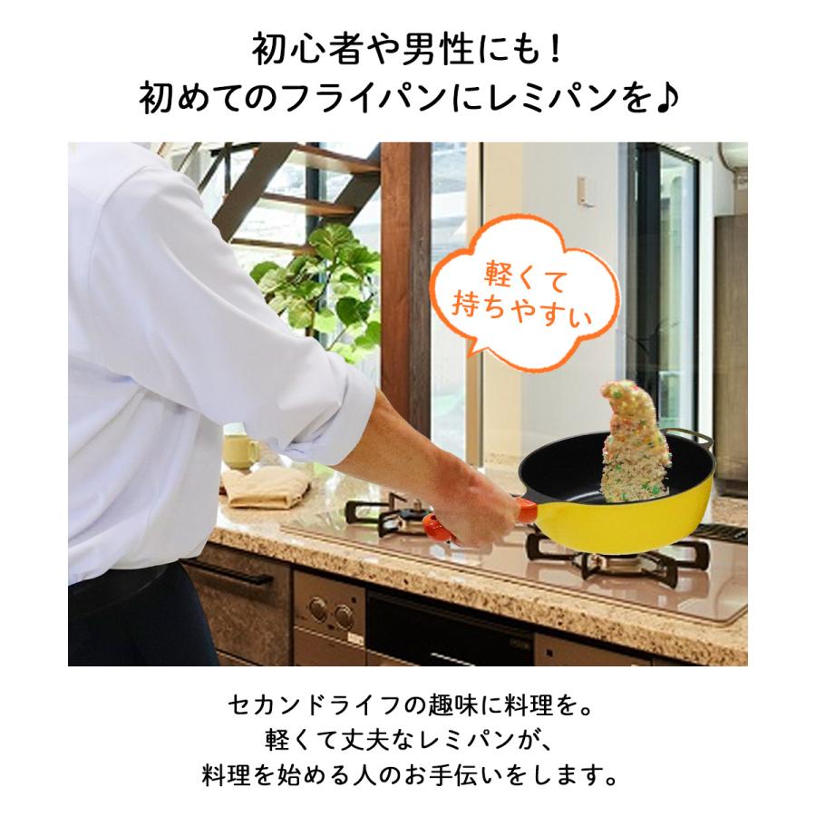 新型 レミパン 24cm 深型フライパン IH対応 片手鍋 ガラス窓付 蓋 Remi