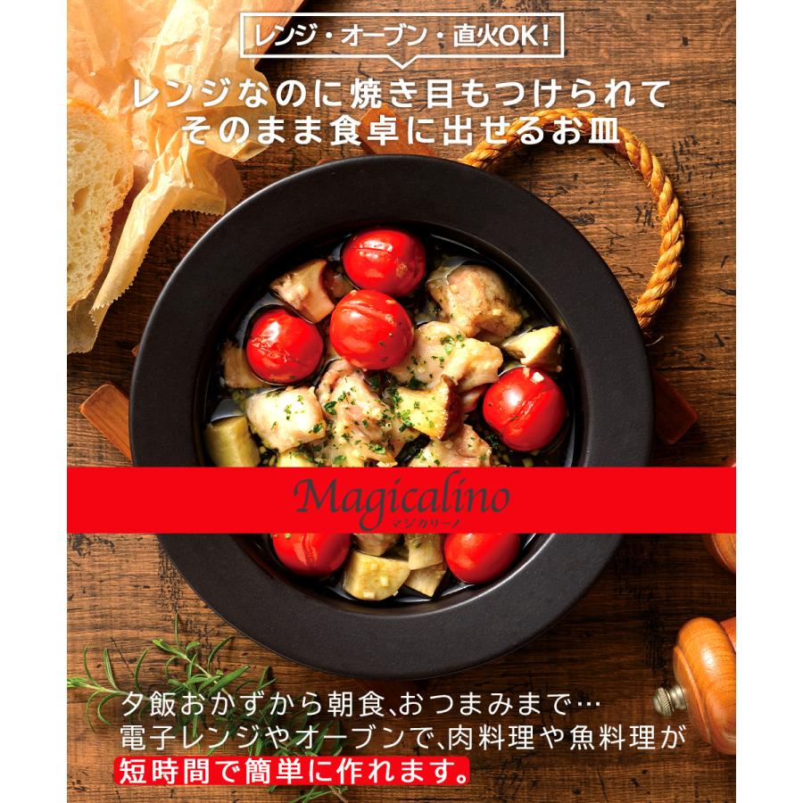 マジカリーノ レンジ で発熱する 皿 20cm 24cm セット | 直火 電子