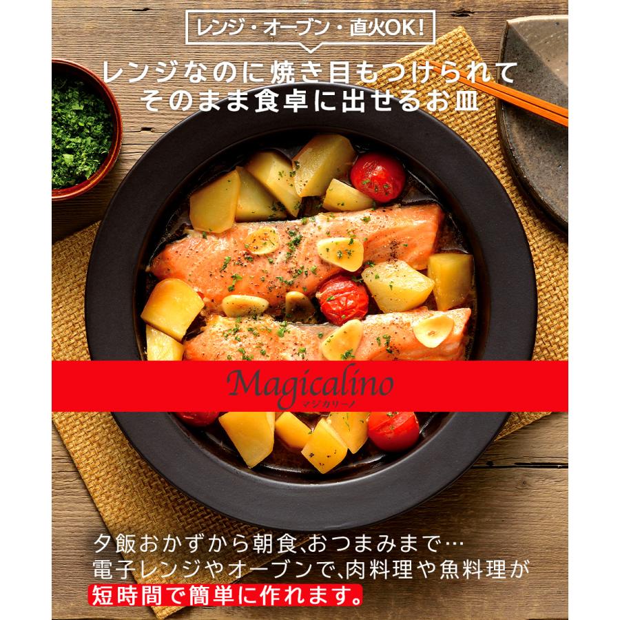 マジカリーノ レンジ で発熱する 皿 24cm RE-7267 | 直火 電子レンジ