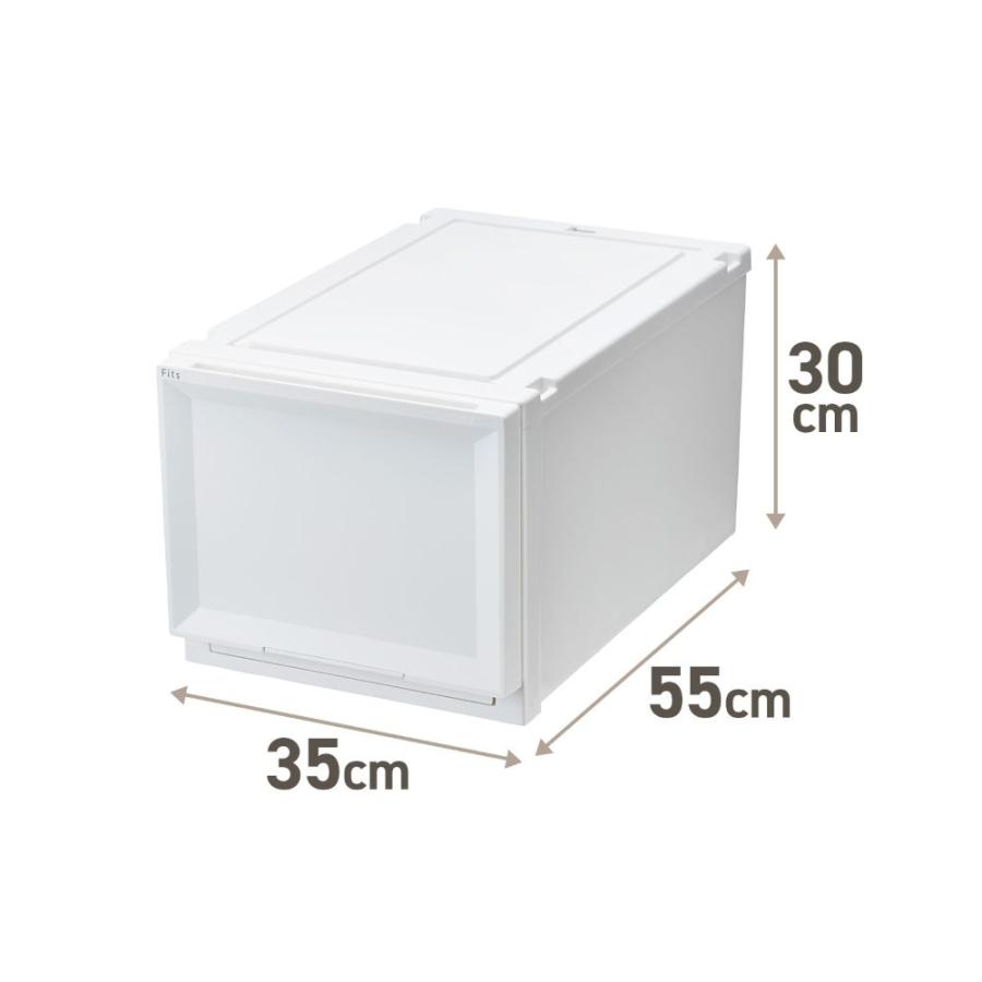 【 通販限定 2個セット 】天馬 収納ボックス フィッツケース アドバンス 幅35×奥行55×高さ30cm Lサイズ | テンマ クローゼット 収納ケース たわみにく |  | 07
