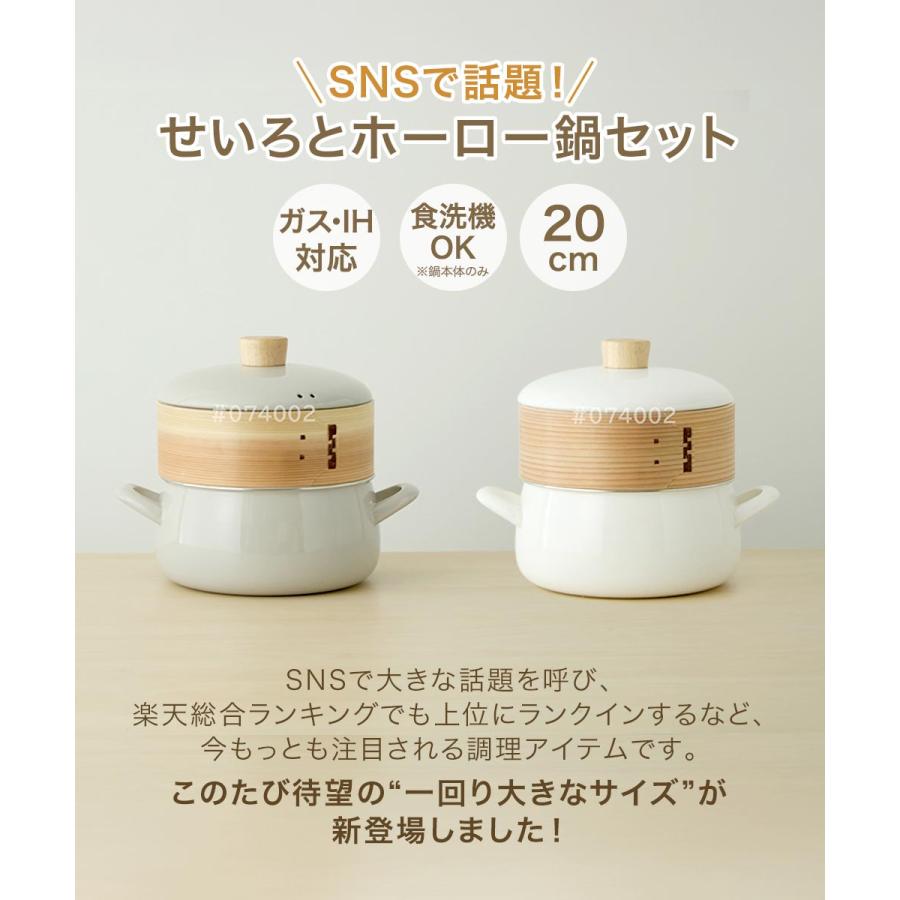 富士ホーロー ホーロー鍋 せいろ20cm付き セット ガス火 IH 対応 食洗