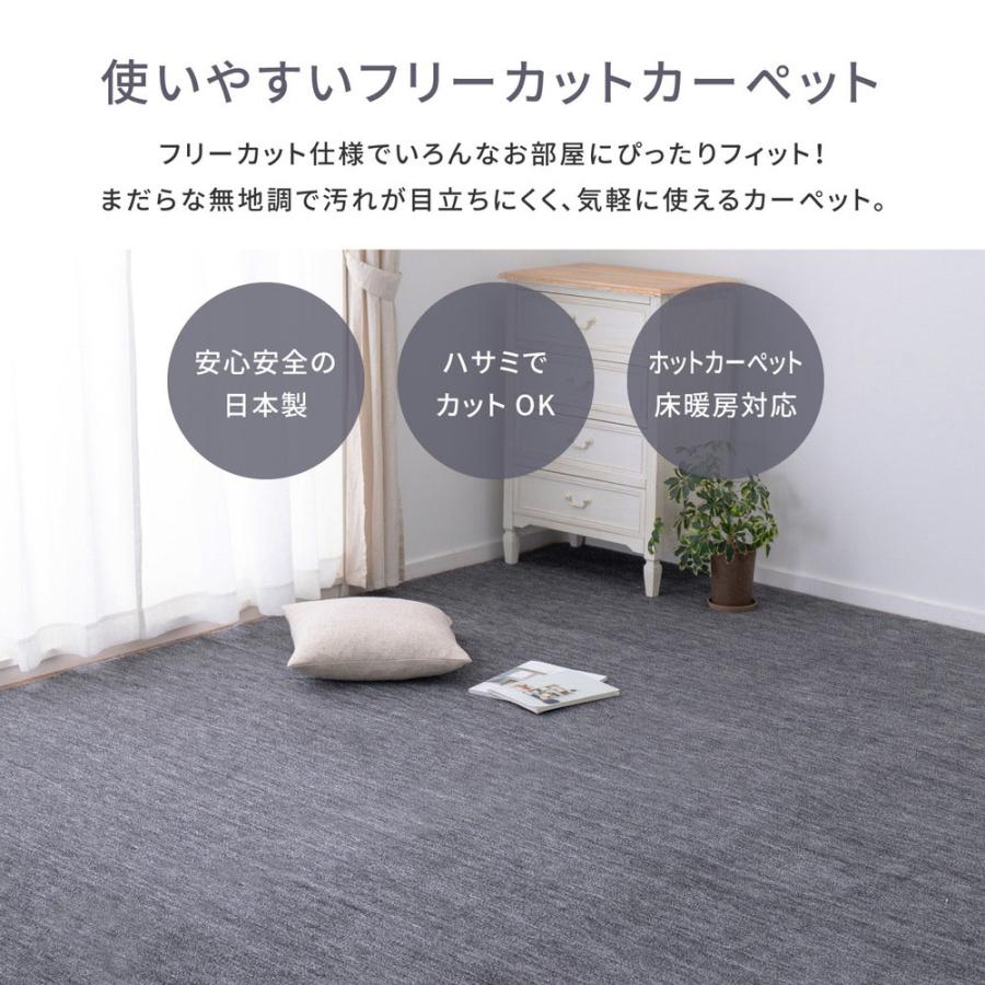 ペットにやさしい 平織カーペット ラウム 本間 4.5帖 286×286cm 萩原 | カーペット マット じゅうたん 絨毯 ラグマット ホットカーペット 対応 床暖 |  | 02