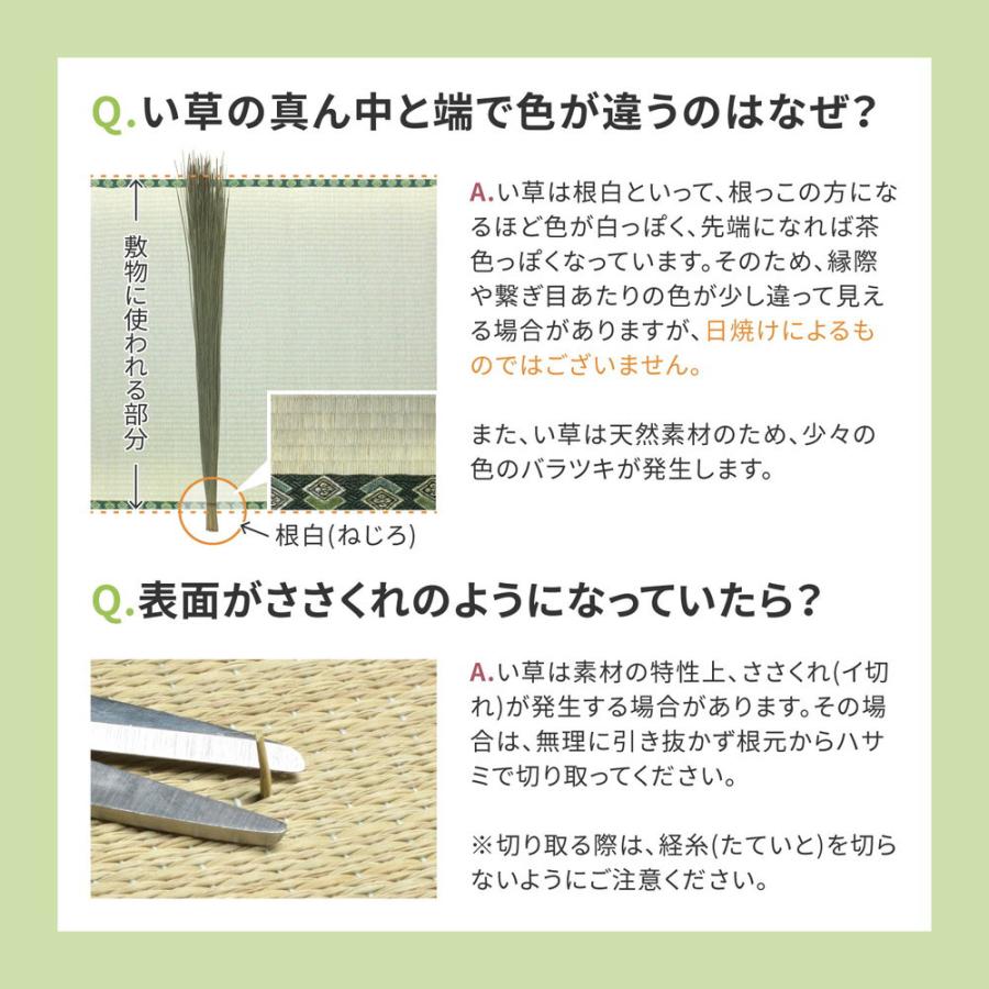 い草カーペット 白馬 江戸間8畳 352×352cm | い草上敷き 8帖 江戸間 8