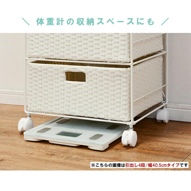 ランドリーRAN-2416 (約)幅60×奥行30.5×高さ109.5cm |【公式通販】