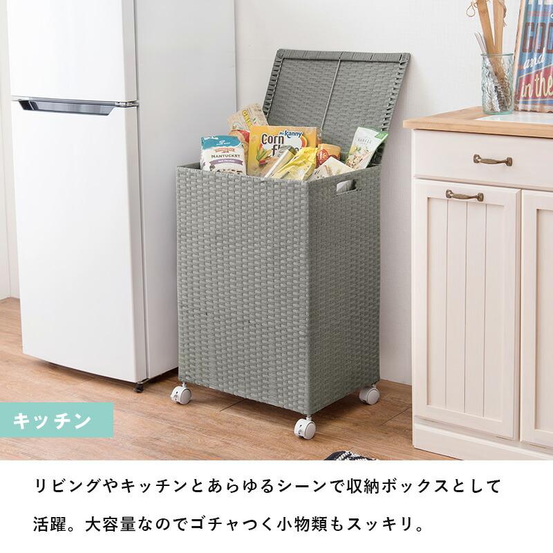 キャスター付収納ボックスRUD-2422 (約)幅45×奥行32×高さ66cm