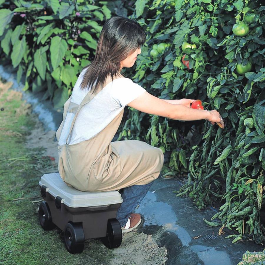 すけ☆専用 プティガードZT土壌処理用・20EC木部処理用 2本セット フマキラー・トータルシステム オプティガードZT 1kg 業務用 シロアリ