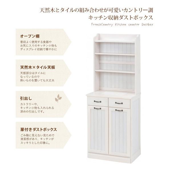 HAGiHARA（萩原） ダストボックス 収納ラック付き 2分別ゴミ箱