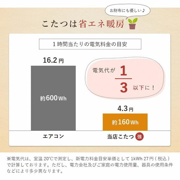 こたつ仕かける 1人用 ご機嫌印字機 速見表 70×50糎 省空白文字こたつ布団 座居敷き女性議長 読み合わせる柄 爆買