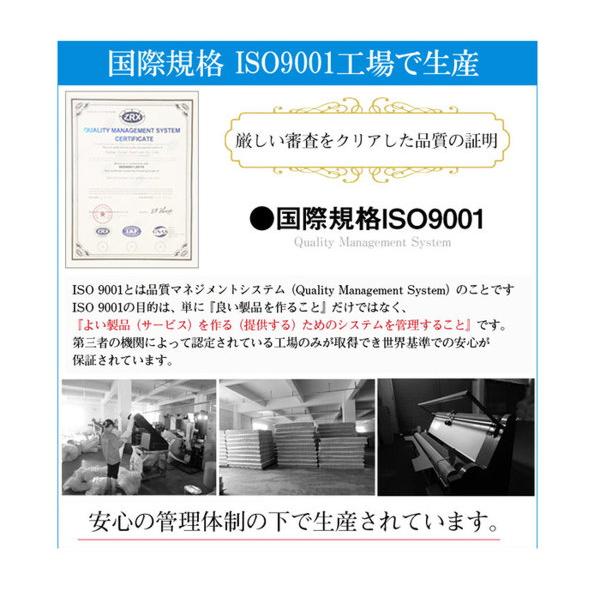 クイーン サイズ セミシングル2枚組 ブラック 高耐久3Dメッシュ 【グランネオユニット】 圧縮ロール梱包