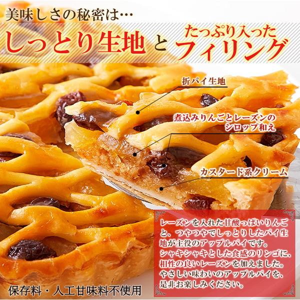 アップルレーズンパイ 5号 ホール リンゴプレザーブ レーズン お