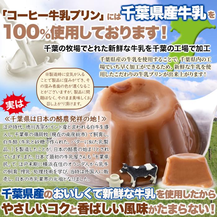 牛乳プリン ミルクプリン コーヒー味 ひとくちコーヒー牛乳プリン 40個 お徳用 千葉県産牛乳100％使用｜kanaemina｜06