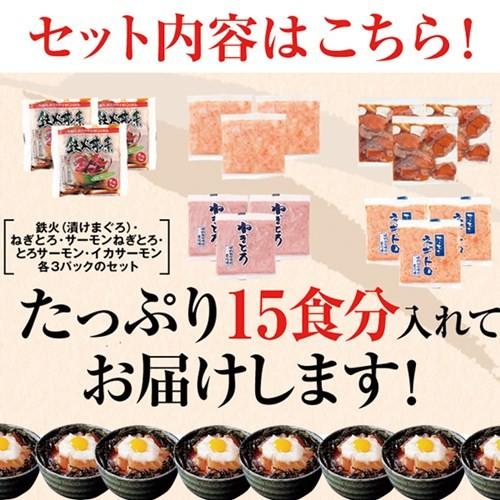 海鮮丼 詰め合わせ どっさり色々詰合せ 15食 : カナエミナ - 通販 