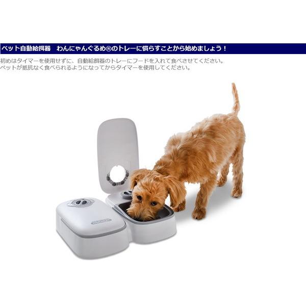 自動餌やり機 自動給餌機 小型犬 猫用 オートペットフィーダー 2食分