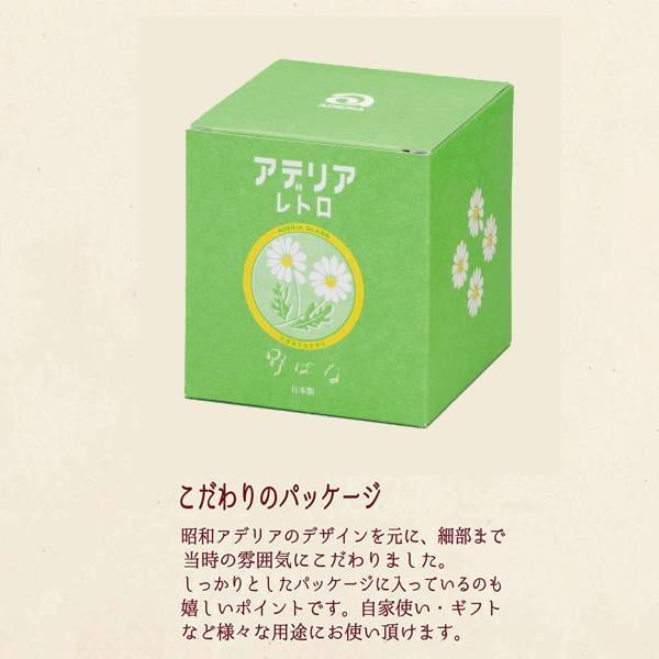 ADERIA ガラス容器 保存容器 蓋付き アデリアレトロ 昭和アデリア